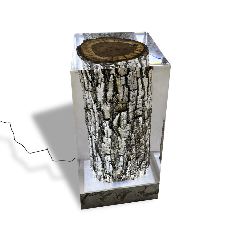 Stump Cube Lamp featuring a tree trunk encased in clear resin with black marble base