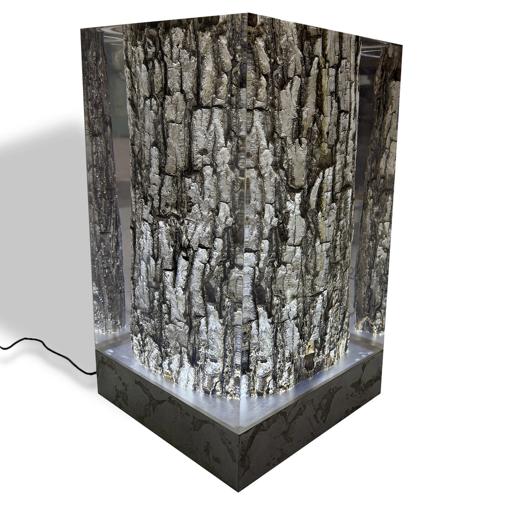 Stump Cube Lamp featuring a transparent resin cube encasing a textured tree trunk illuminated from below