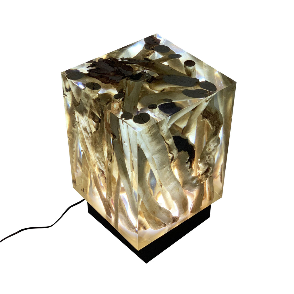 Branches Cube Lamp with transparent resin encasing natural wood pieces and dark base