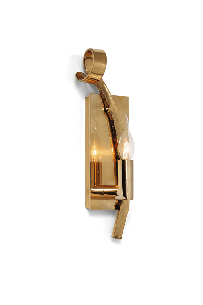 Polished brass Delphinium Wall Lamp with curved top and two exposed bulbs