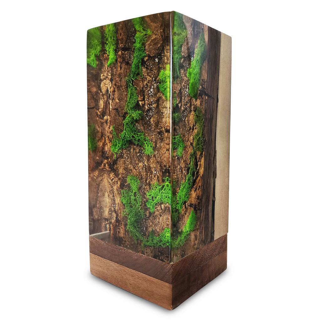 Forest Cube Table Lamp with resin, wood, preserved moss, and tree bark encased