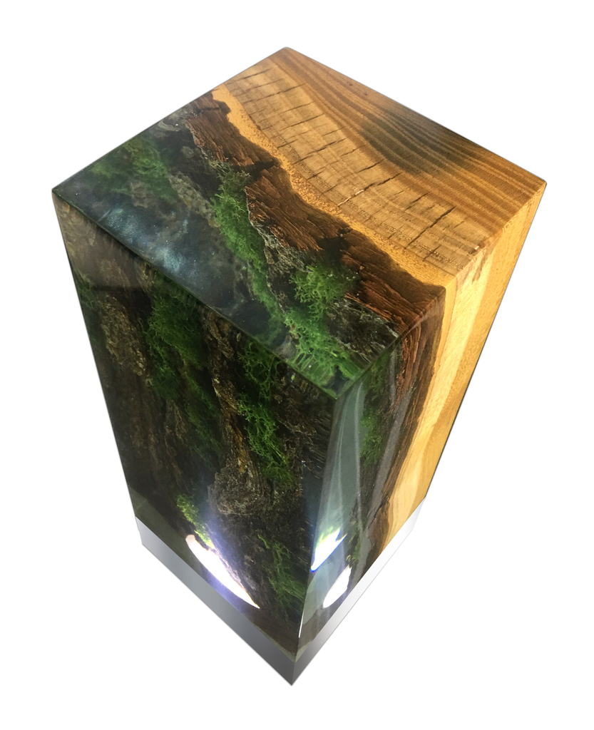 Decorative Forest Cube Table Lamp with wooden and resin block showcasing miniature landscape