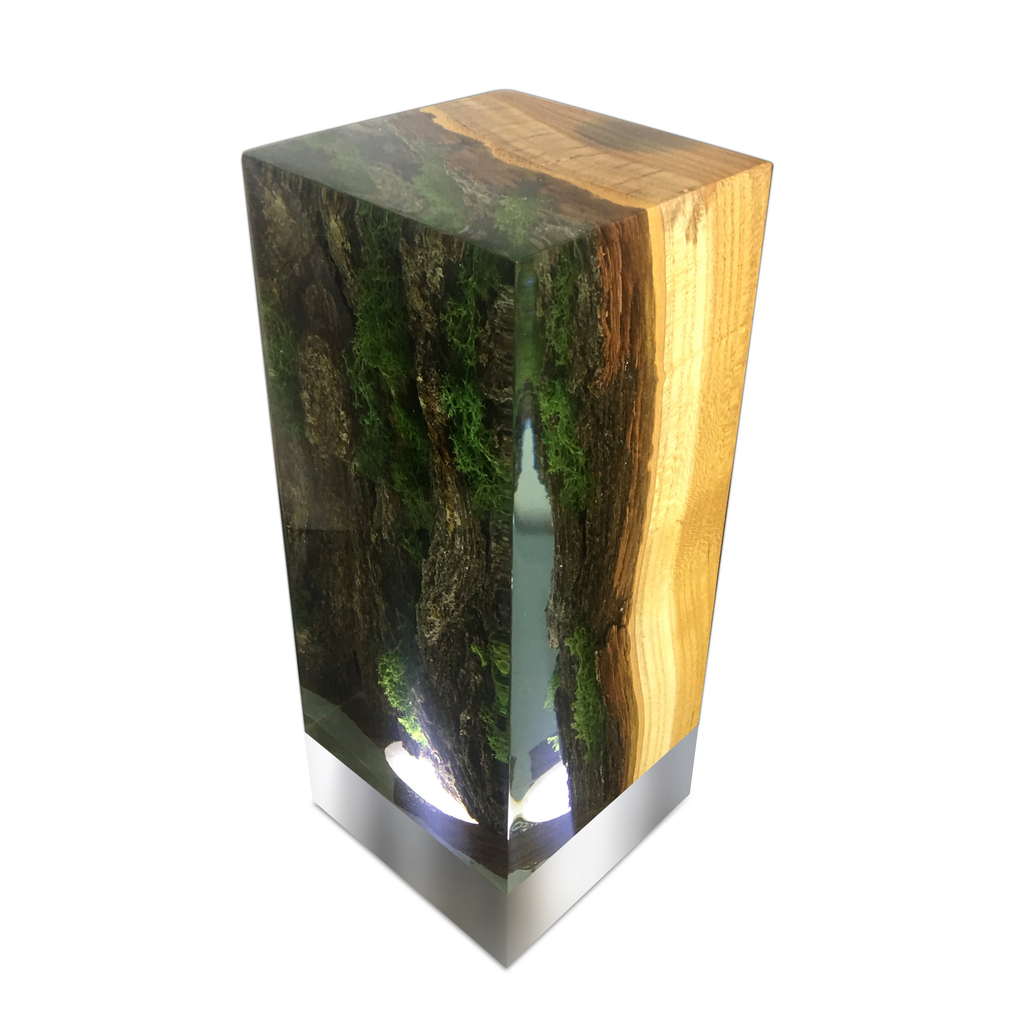 Forest Cube Table Lamp with epoxy resin block featuring preserved wood and moss