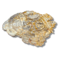 Petrified Wood Semi-Precious Stone Sink