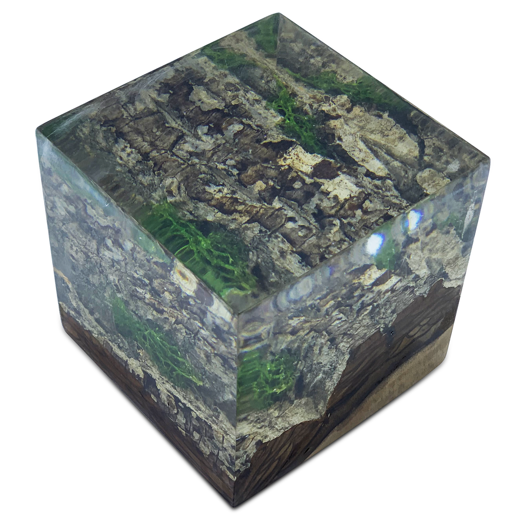 Wood Bark Minimal decorative cube with natural bark, wood, and green moss inclusions