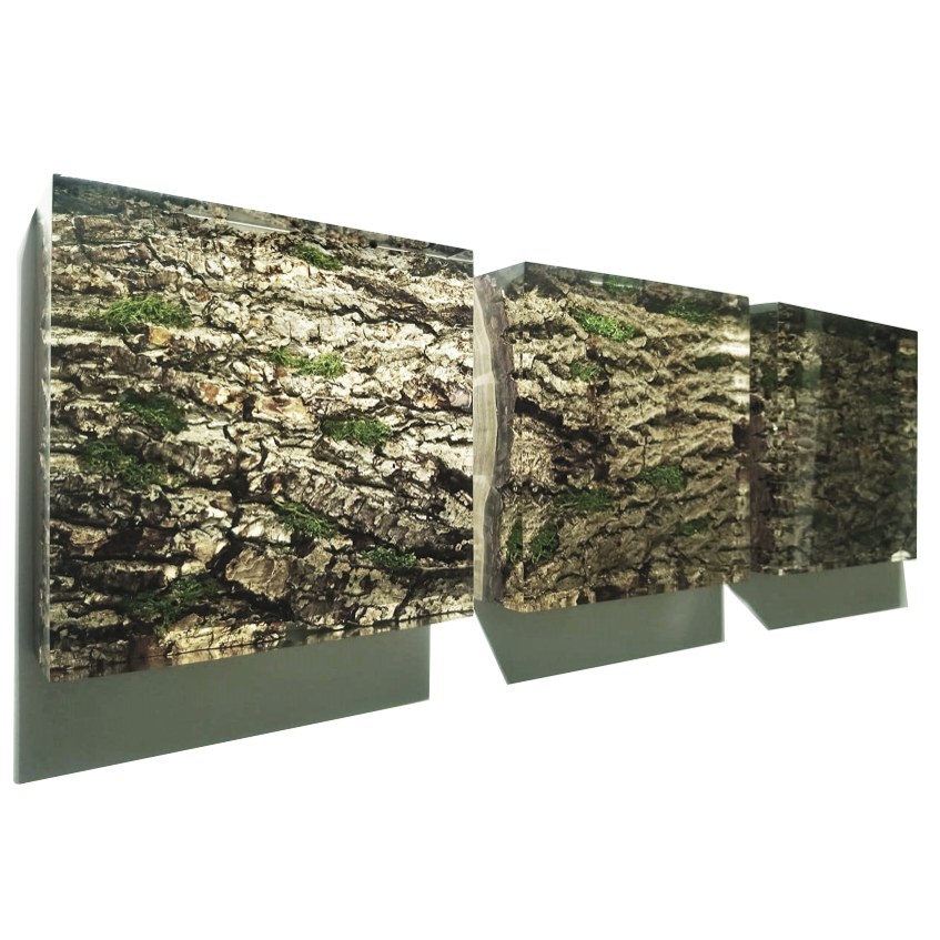 Wood Bark Wall Art