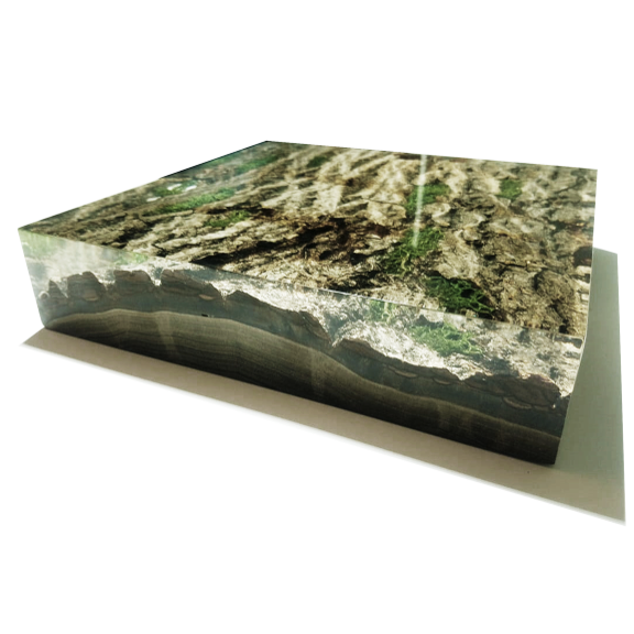 Clear resin encasing 3D coastal topographic map in wood bark wall art piece